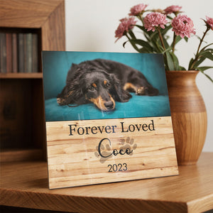 Memorial Pet Gifts Custom Photo Engraved Frame Gifts For Pet Lovers