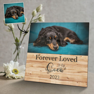 Memorial Pet Gifts Custom Photo Engraved Frame Gifts For Pet Lovers