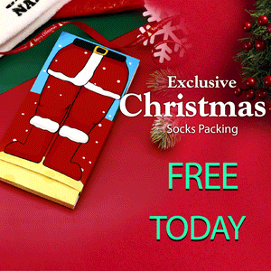 Christmas Santa Sleigh  Socks - MadeMineAU