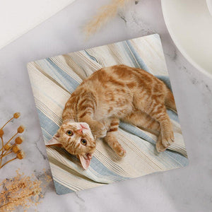 Custom Photo Coasters Square Gift For Cat