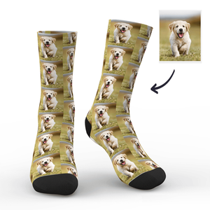 Pets Photo Engraved Socks For Women Men and Kids - MadeMineAU