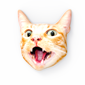 Custom Cat Face-Made 3D Portrait Throw Pillows - MadeMineAU