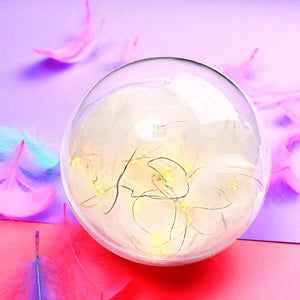 Transparent Plastic Ball Light String White Feather Three-piece Suit Creative Gift Combination