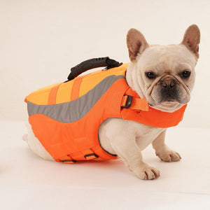 Pet Clothes Colorful and Lovely Pet Swimsuits Gift for Pets
