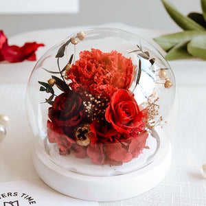 Gift For Mum Preserved Flower Glass Cover Carnation Real Flower Gift Home Decor - Red